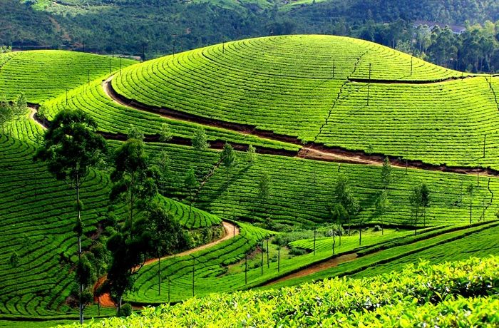 Kandy Lake View